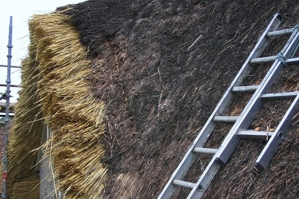 Thatching - Stage 1