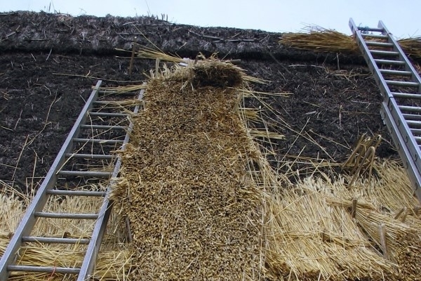 Thatching - Stage 2