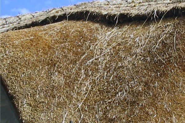 Thatching - Stage 4
