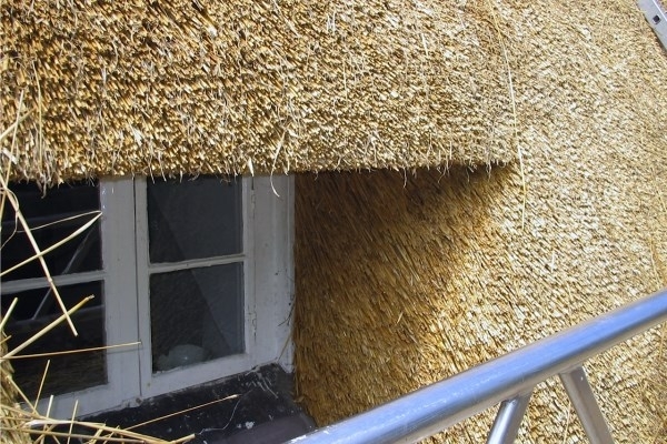 Thatching - Stage 5