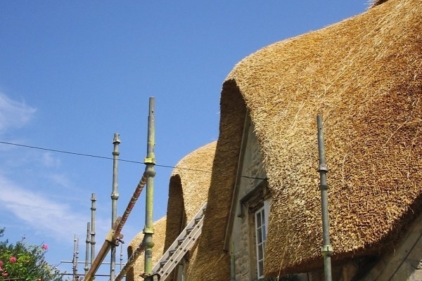 Thatching - Stage 6