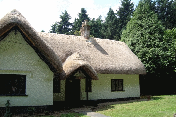 Thatching - Stage 7