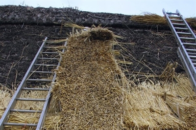 Thatching Process