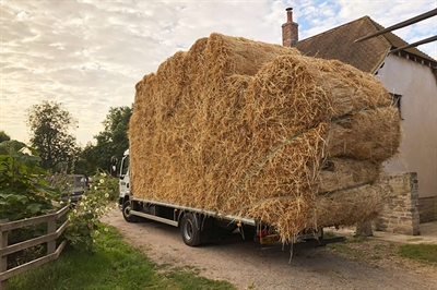 thatch arriving