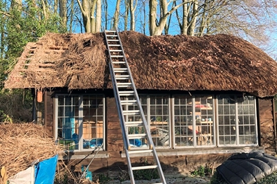 thatching in progress