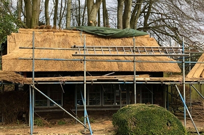 Thatching underway