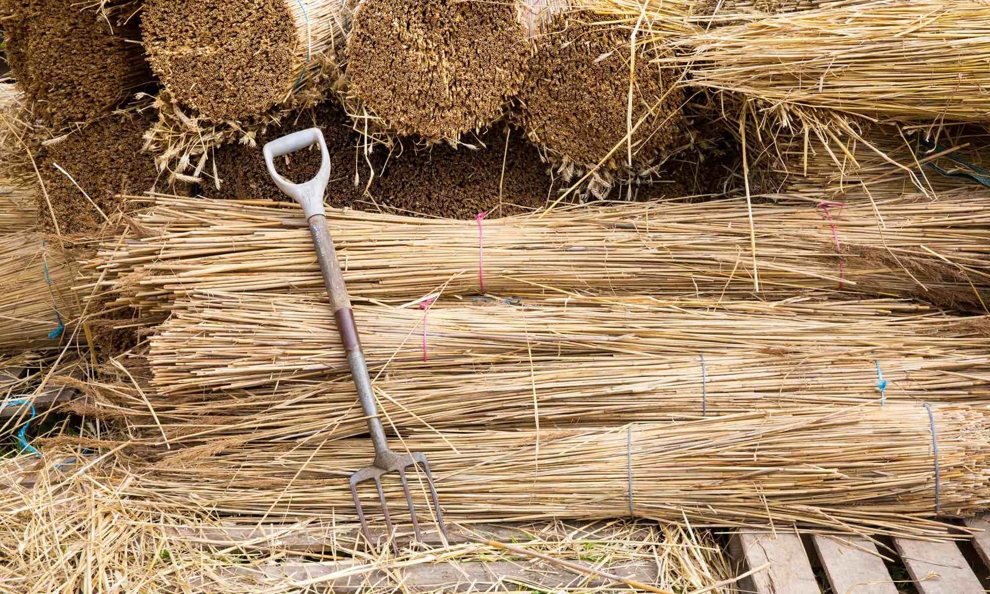 The Thatching process